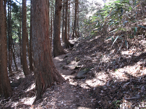 20180116hike (138)